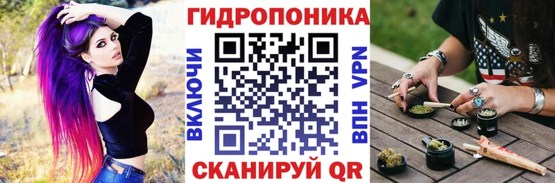 Бошки марихуана индика  что такое   Буйнакск 